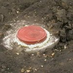 НАШИ РАБОТЫ