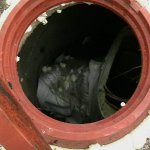 НАШИ РАБОТЫ