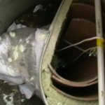 НАШИ РАБОТЫ