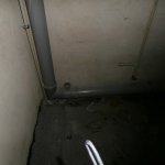 НАШИ РАБОТЫ