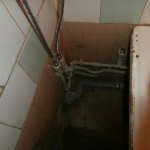 НАШИ РАБОТЫ