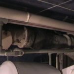 НАШИ РАБОТЫ