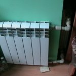 НАШИ РАБОТЫ