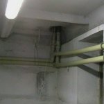 НАШИ РАБОТЫ