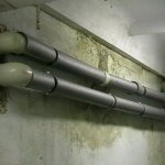 НАШИ РАБОТЫ